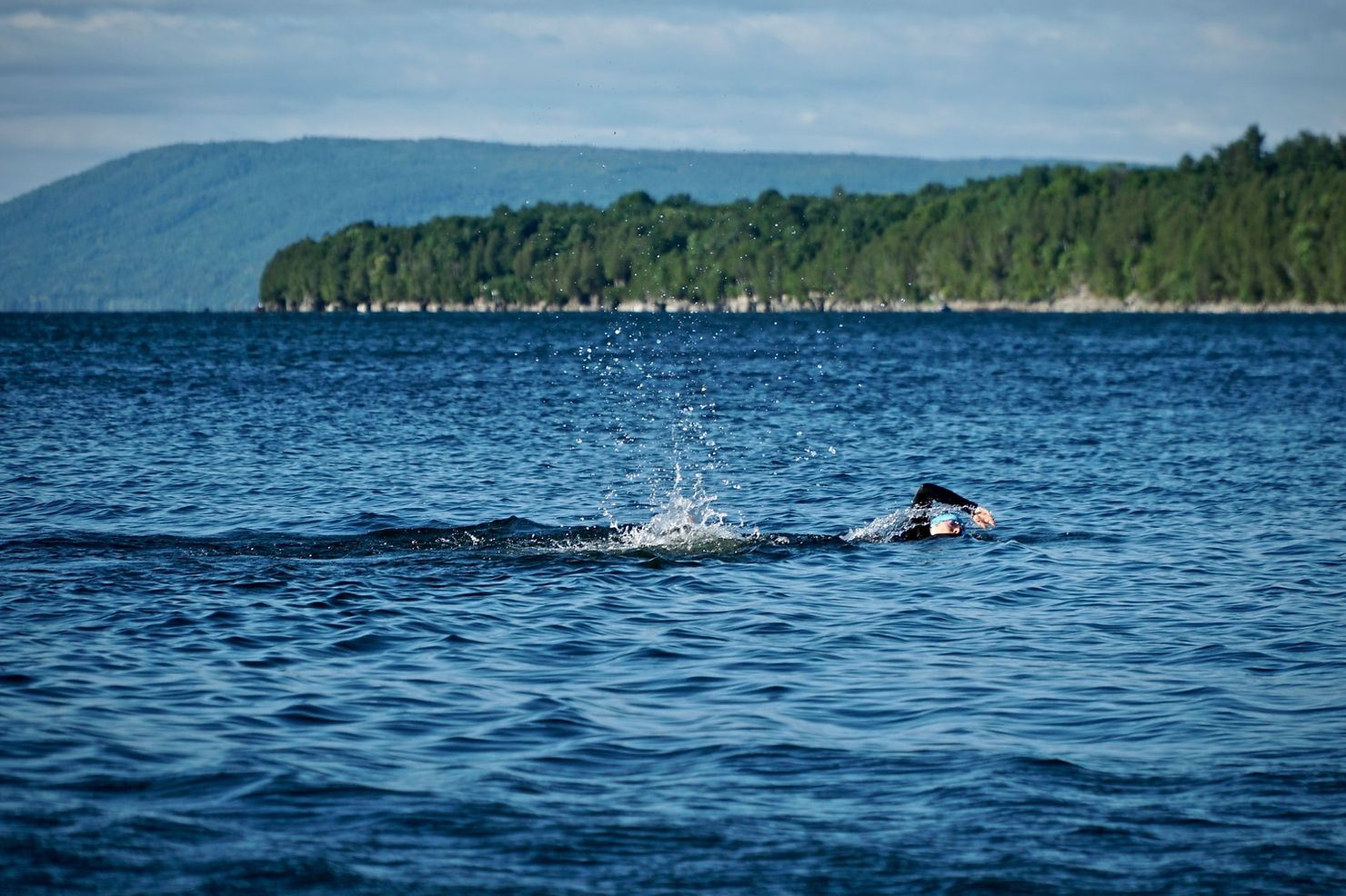 A lone swimmer doing front crawl in open water below a forested shoreline