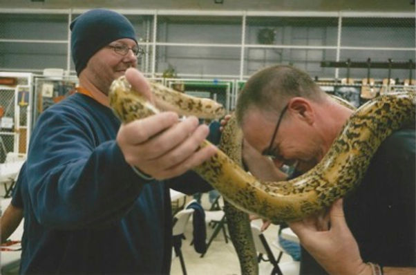 Two men holding a large python stretched between them