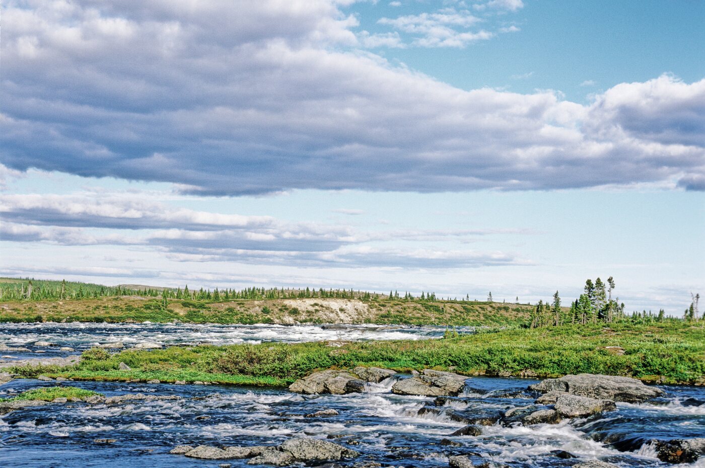 A river running over rocks past low tundra and spruce forest under a wide cloudy sky